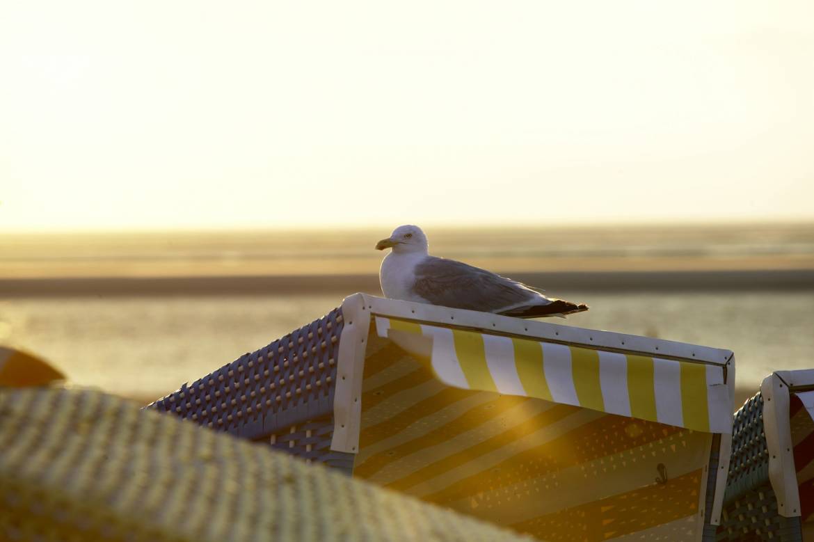 Langeoog_16.jpg